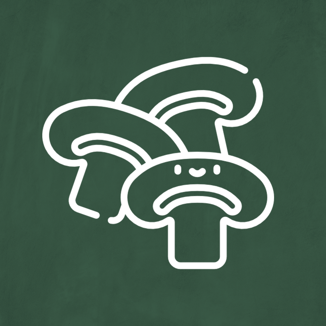 اضافات العجة